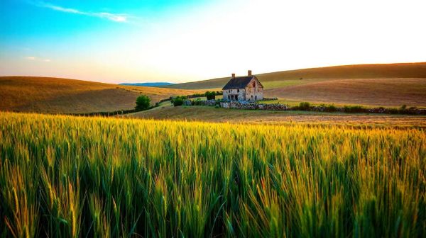 Les meilleures stratégies pour un pré-fibrage réussi en Normandie